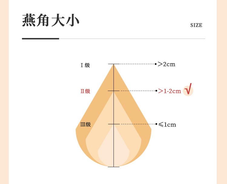j-2-2.jpg