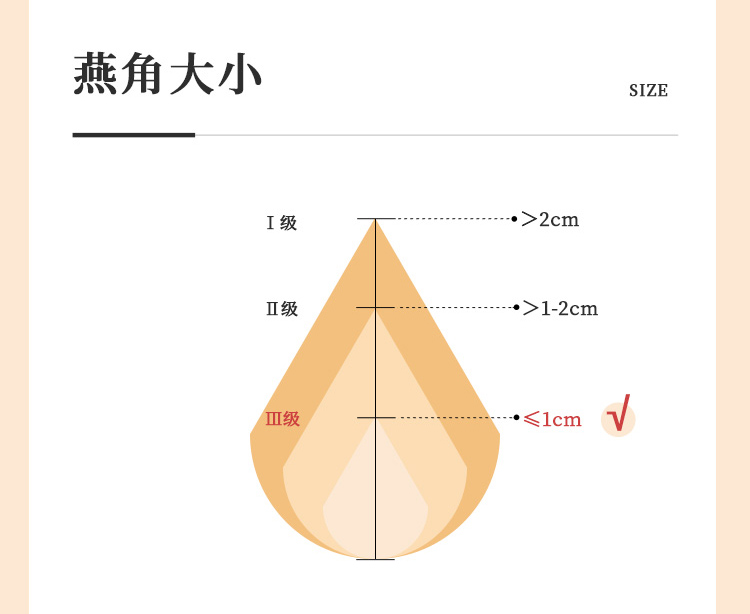 j-2-3.jpg