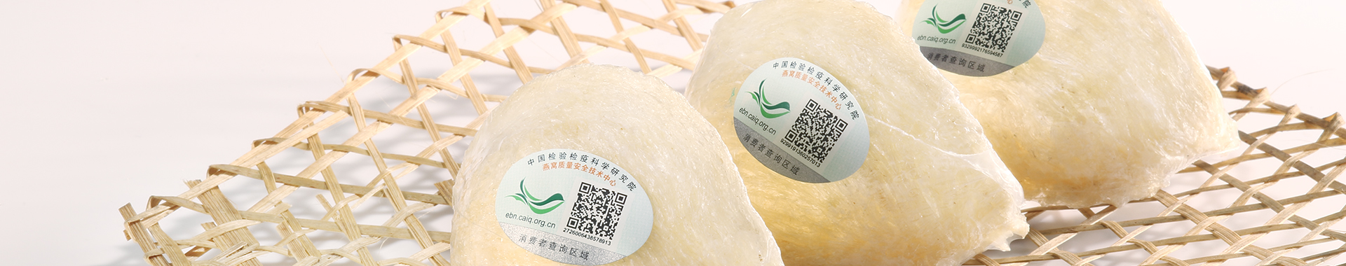 新闻资讯